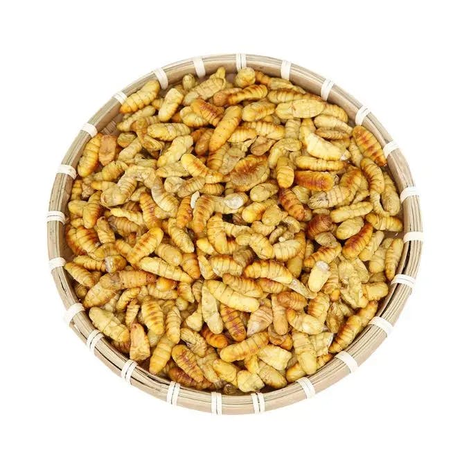 Nhộng