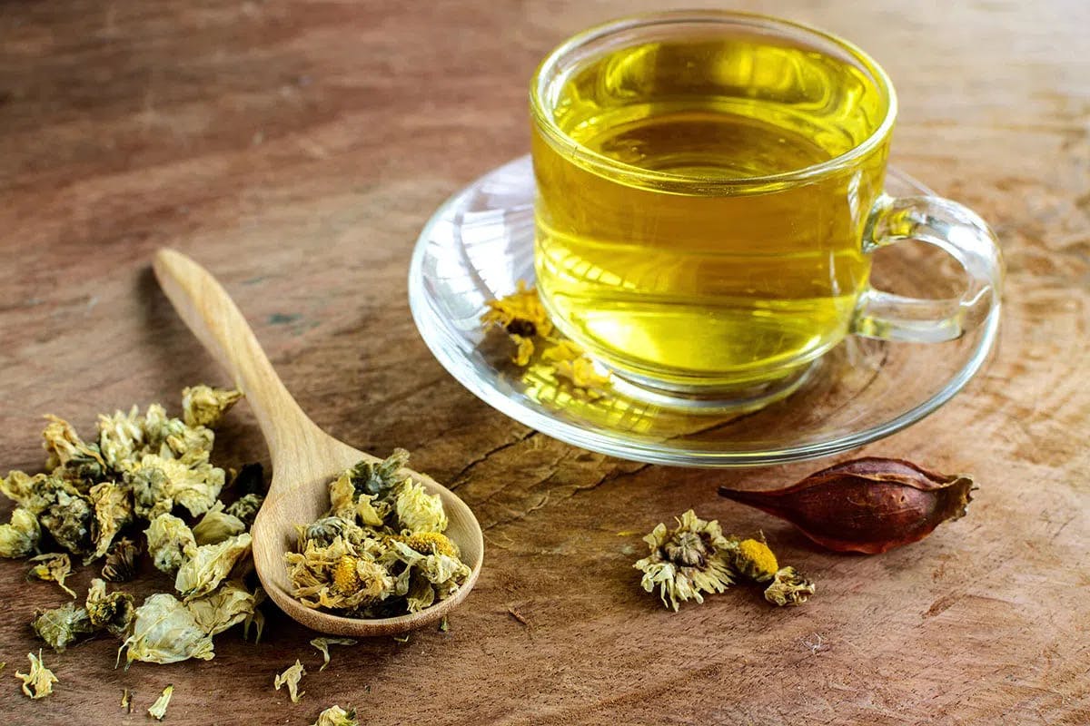 Trà hoa cúc (không đường)