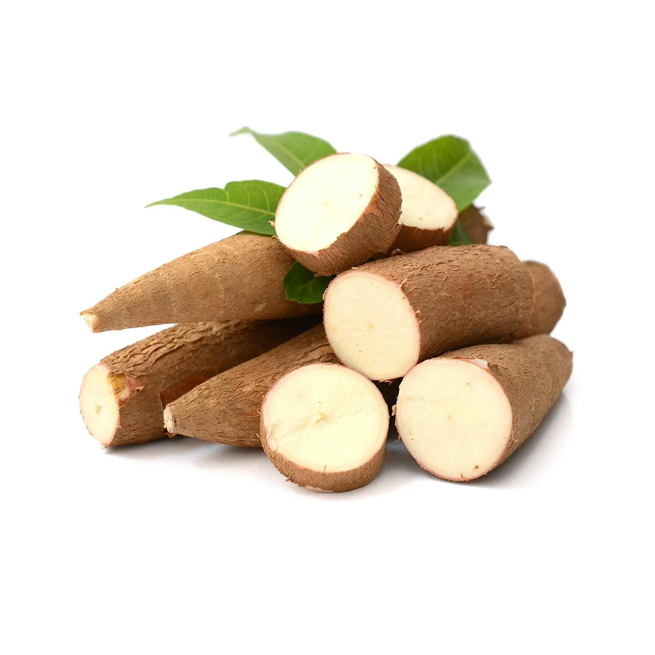 Khoai mì