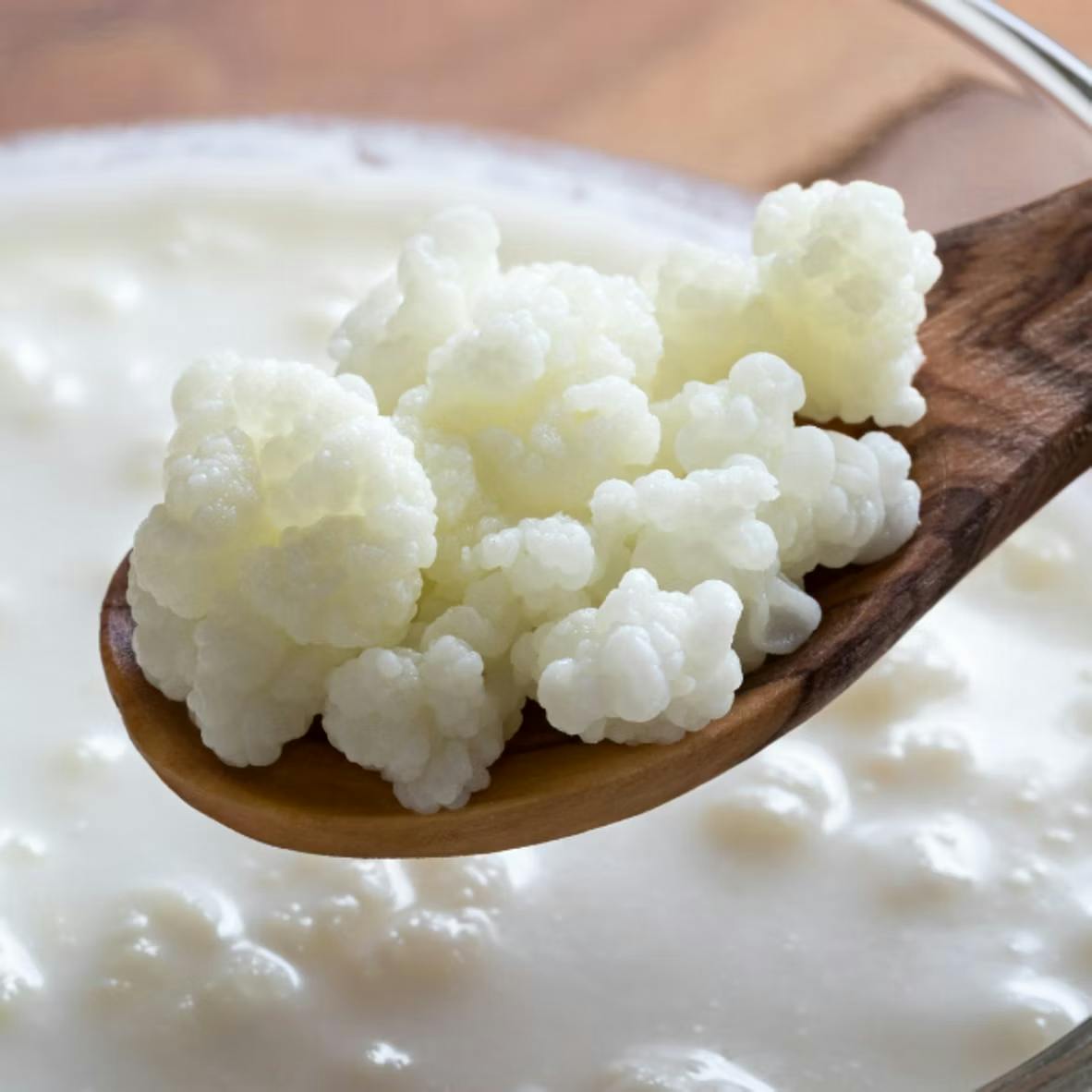 Kefir