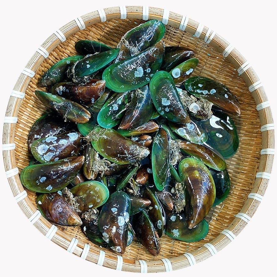 Vẹm xanh