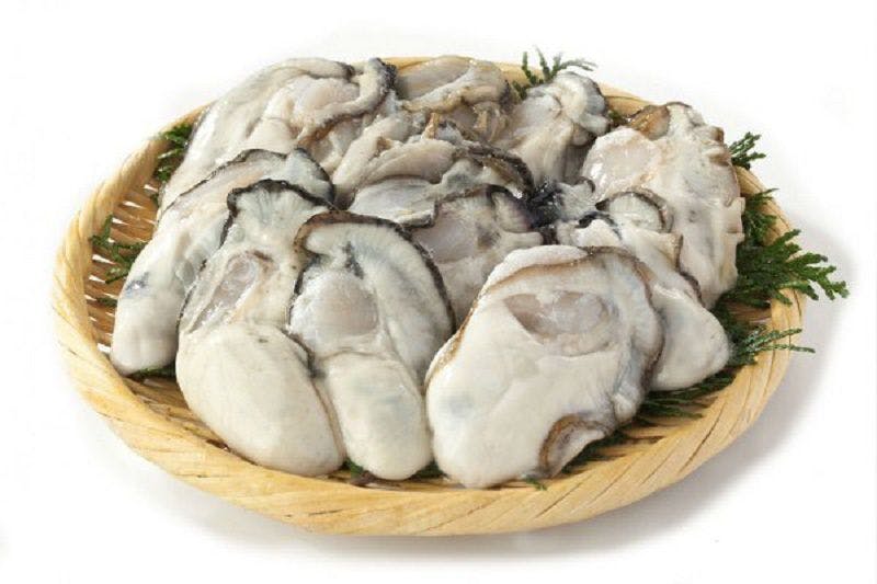 Hàu