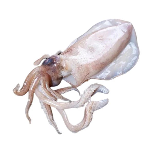 Mực lá