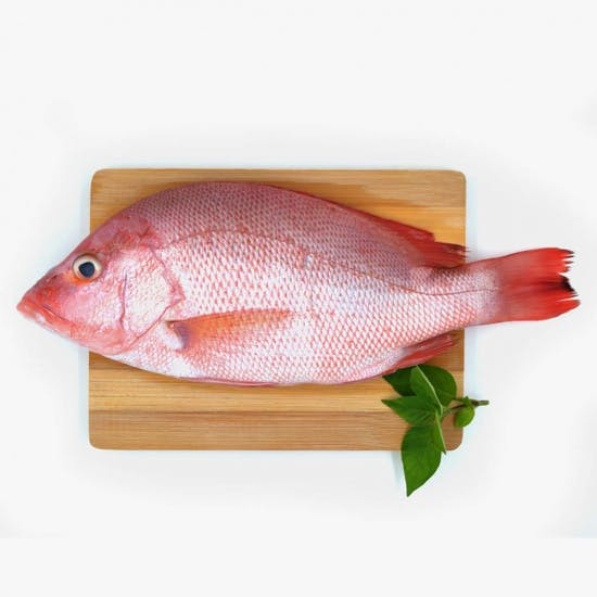 Cá hồng