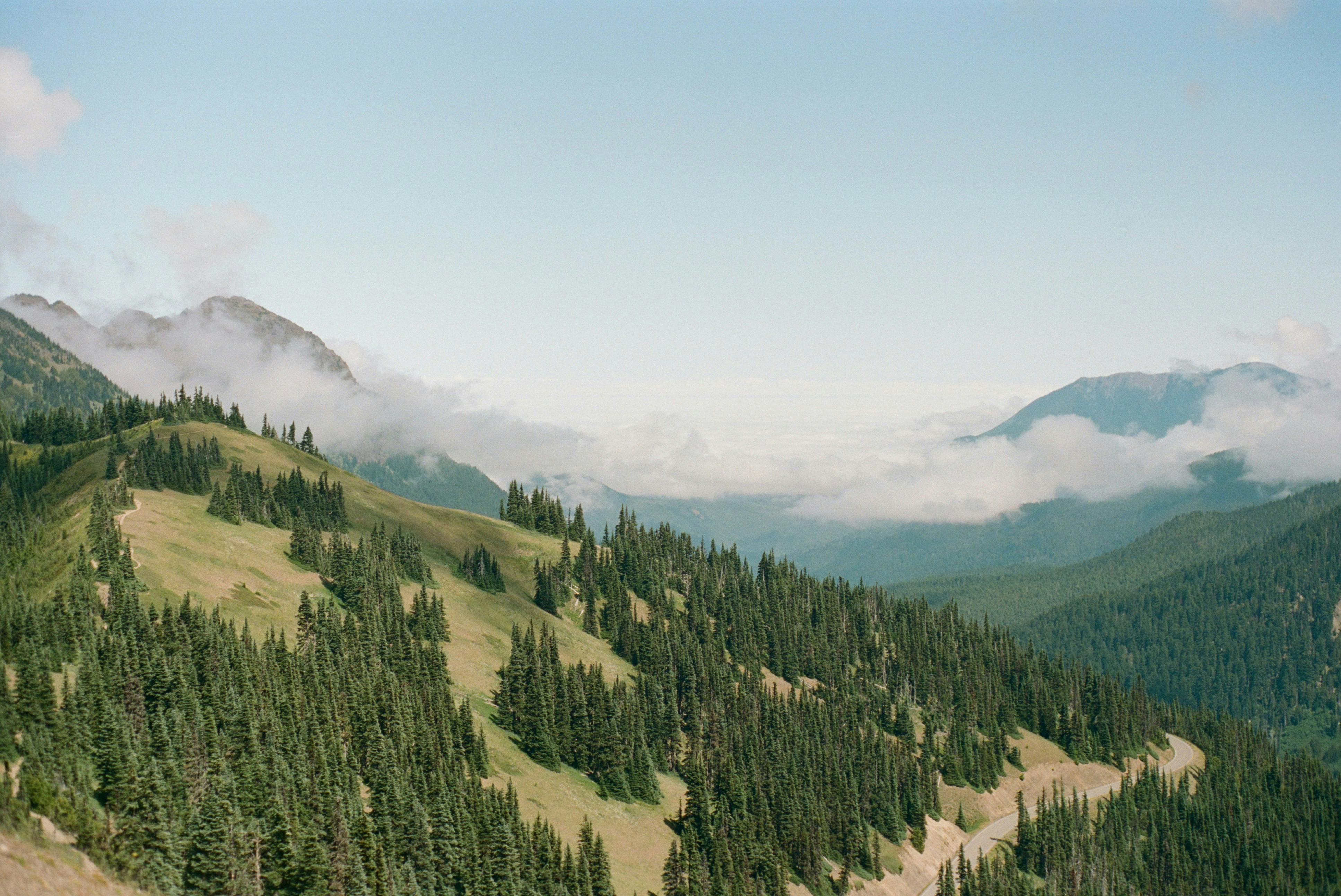 Mountain by Eric Lee. 1/250s, f/8, 50mm, with Farbe 200.