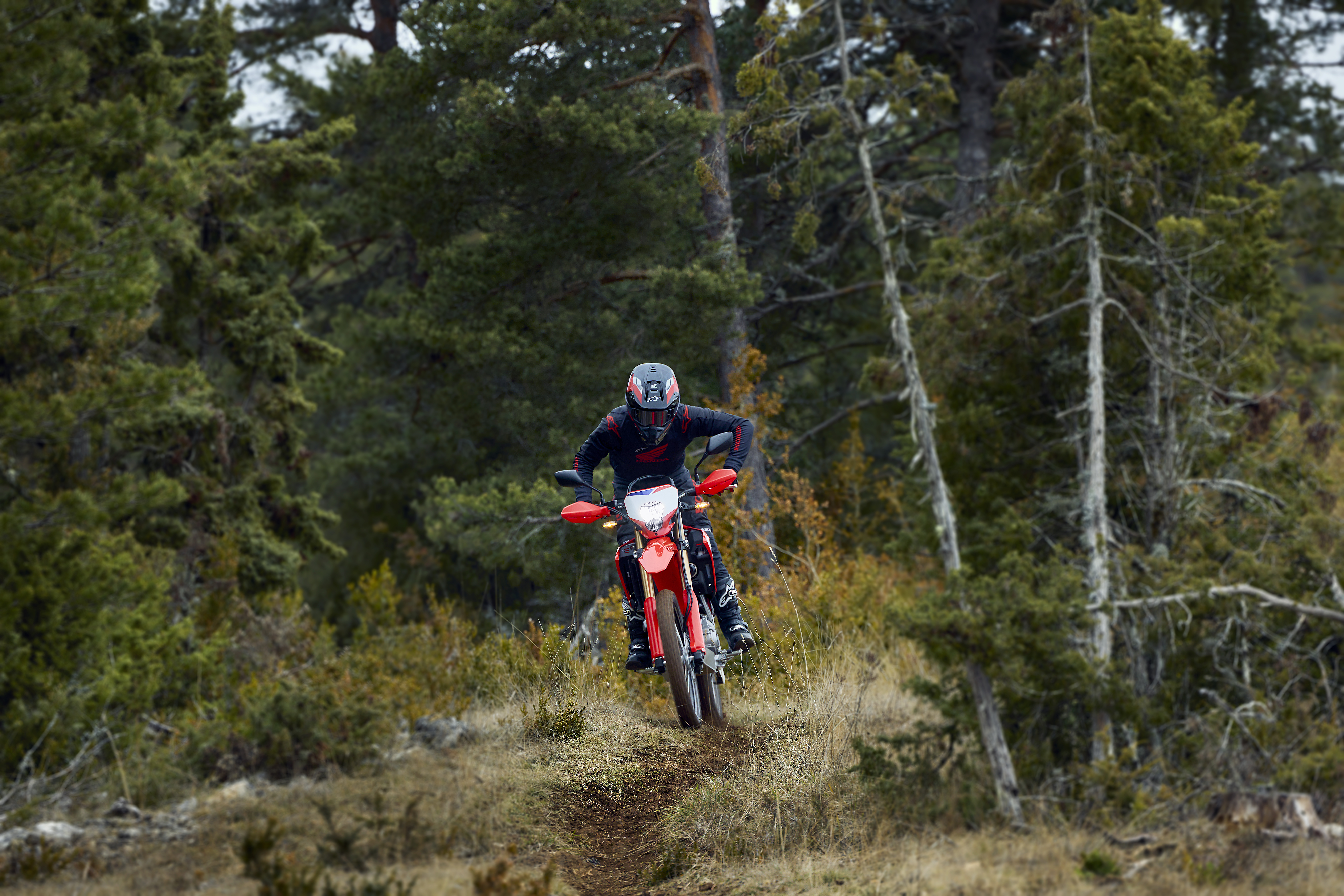 CRF300L í slóðakeyrslu í skógi