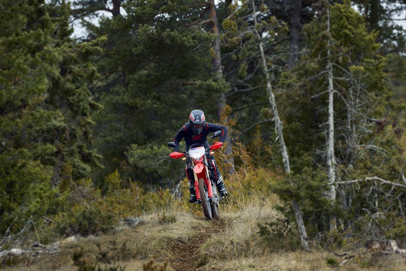 CRF300L í slóðakeyrslu í skógi