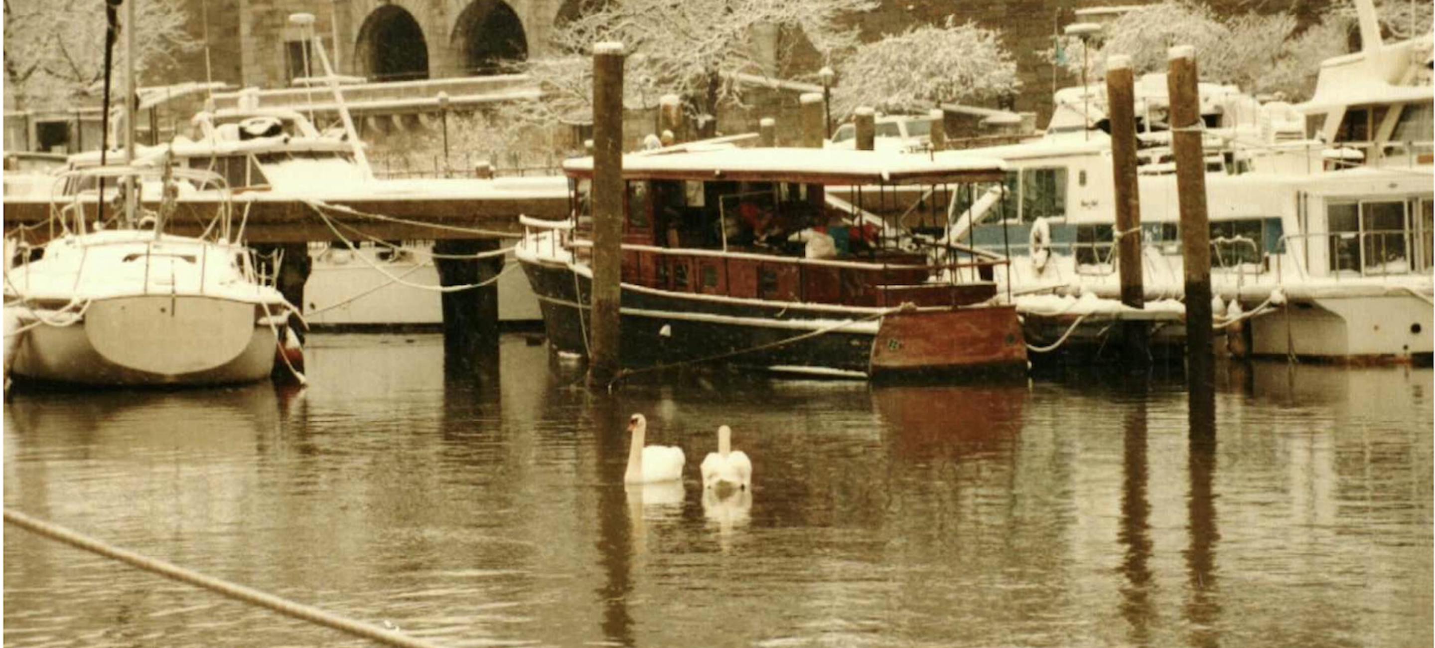 a photo of the 79th st. boat basin during winter