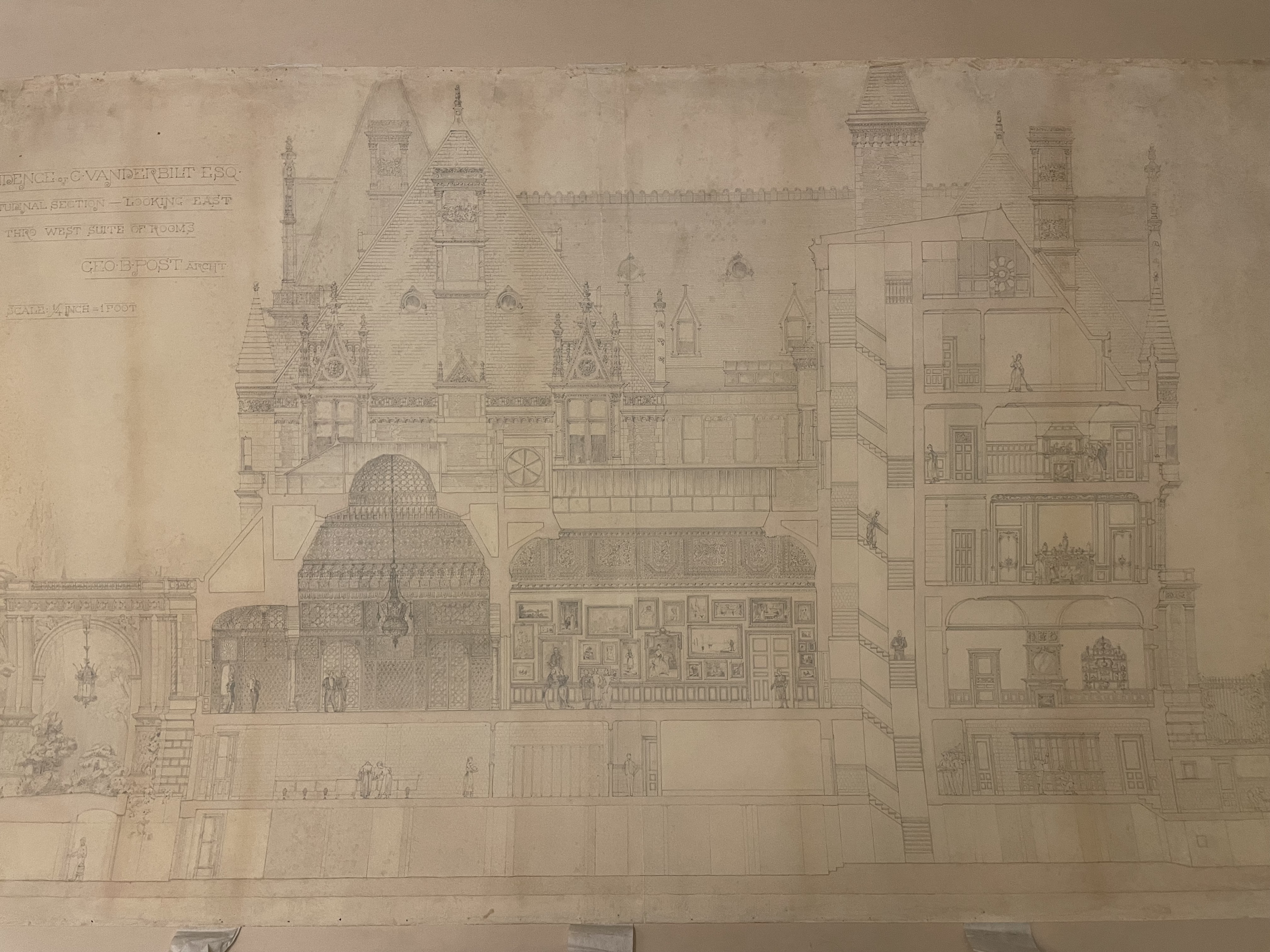 Curator Confidential Upstairs, Downstairs Inside the Cornelius