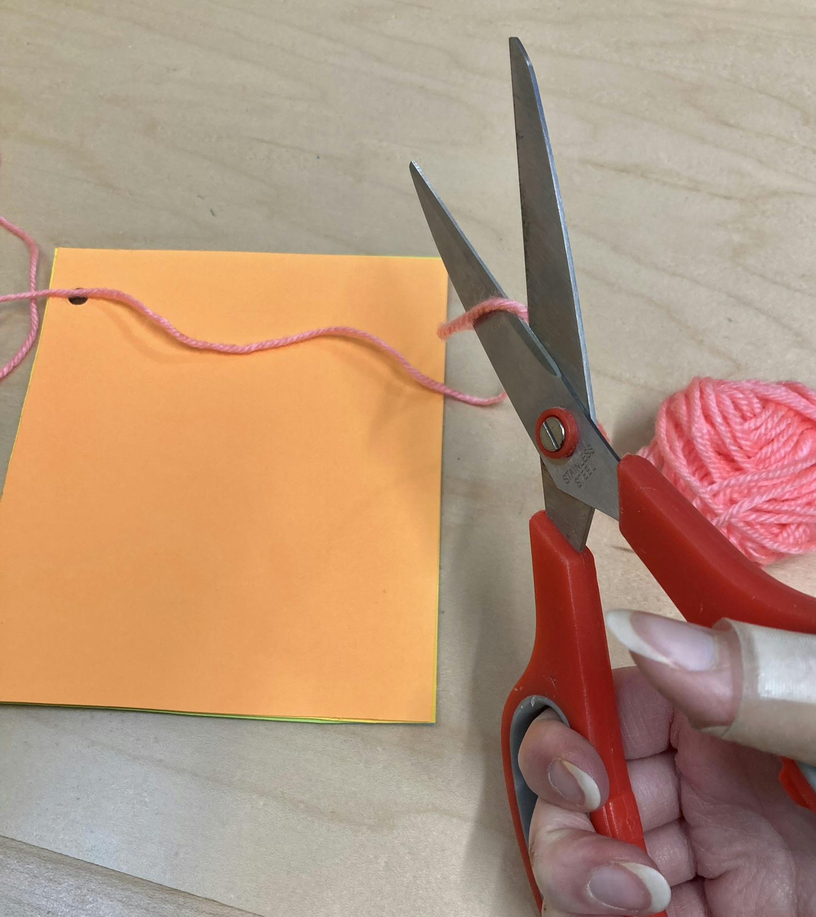 Little New-Yorkers @ Home: Make a Nature Journal Inspired by Rachel ...