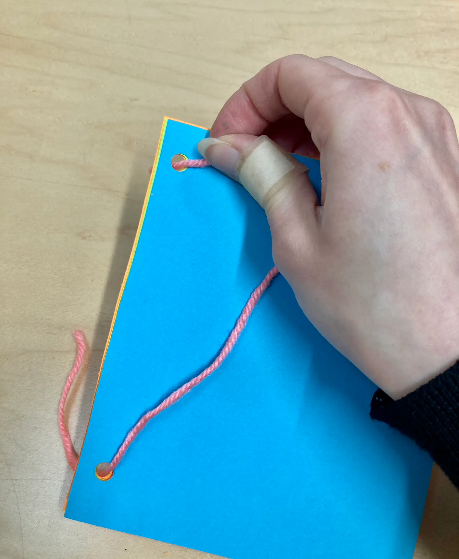 Little New-Yorkers @ Home: Make a Nature Journal Inspired by Rachel ...