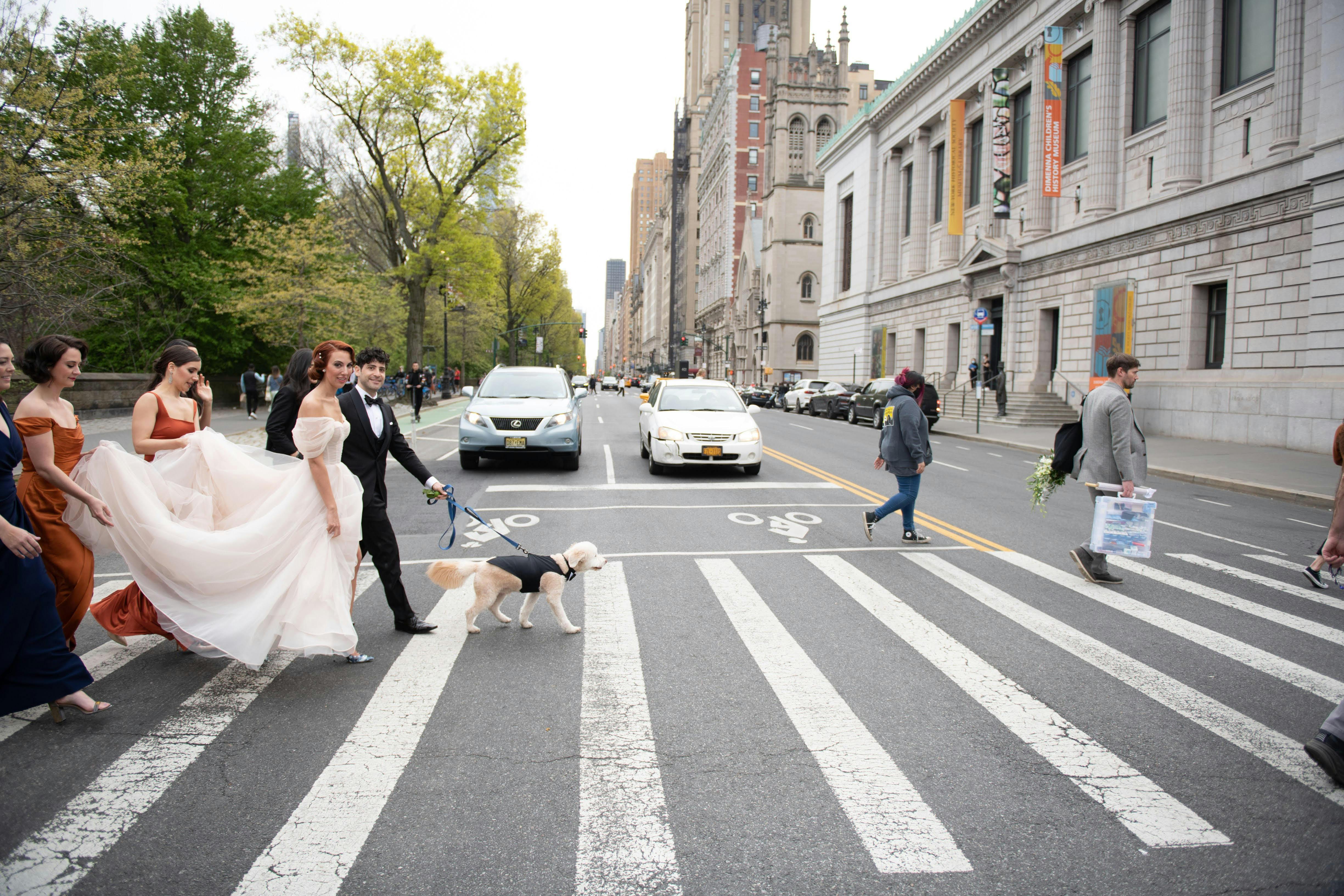 a wedding party crossing Central Park West towards the Museum. The groom is walking the couple's dog. 