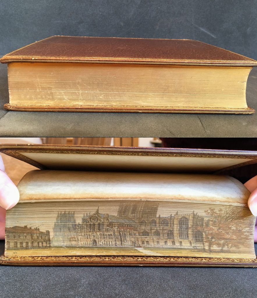 18+ Fore Edge Book Painting AnassAmaleah