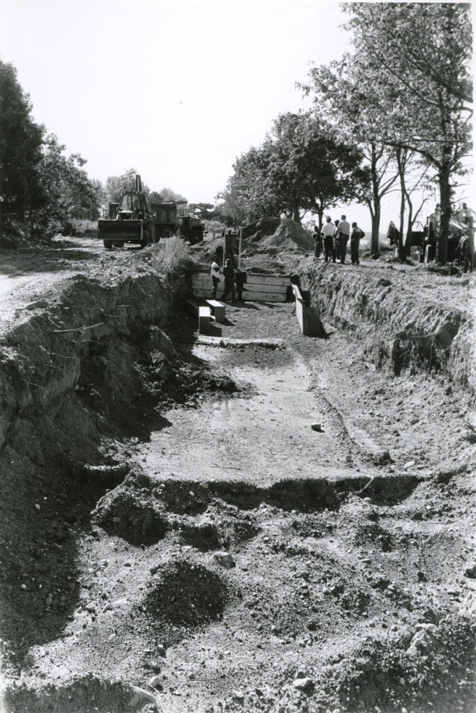 Echoes in the Green: Unearthing New York's Historic Fields