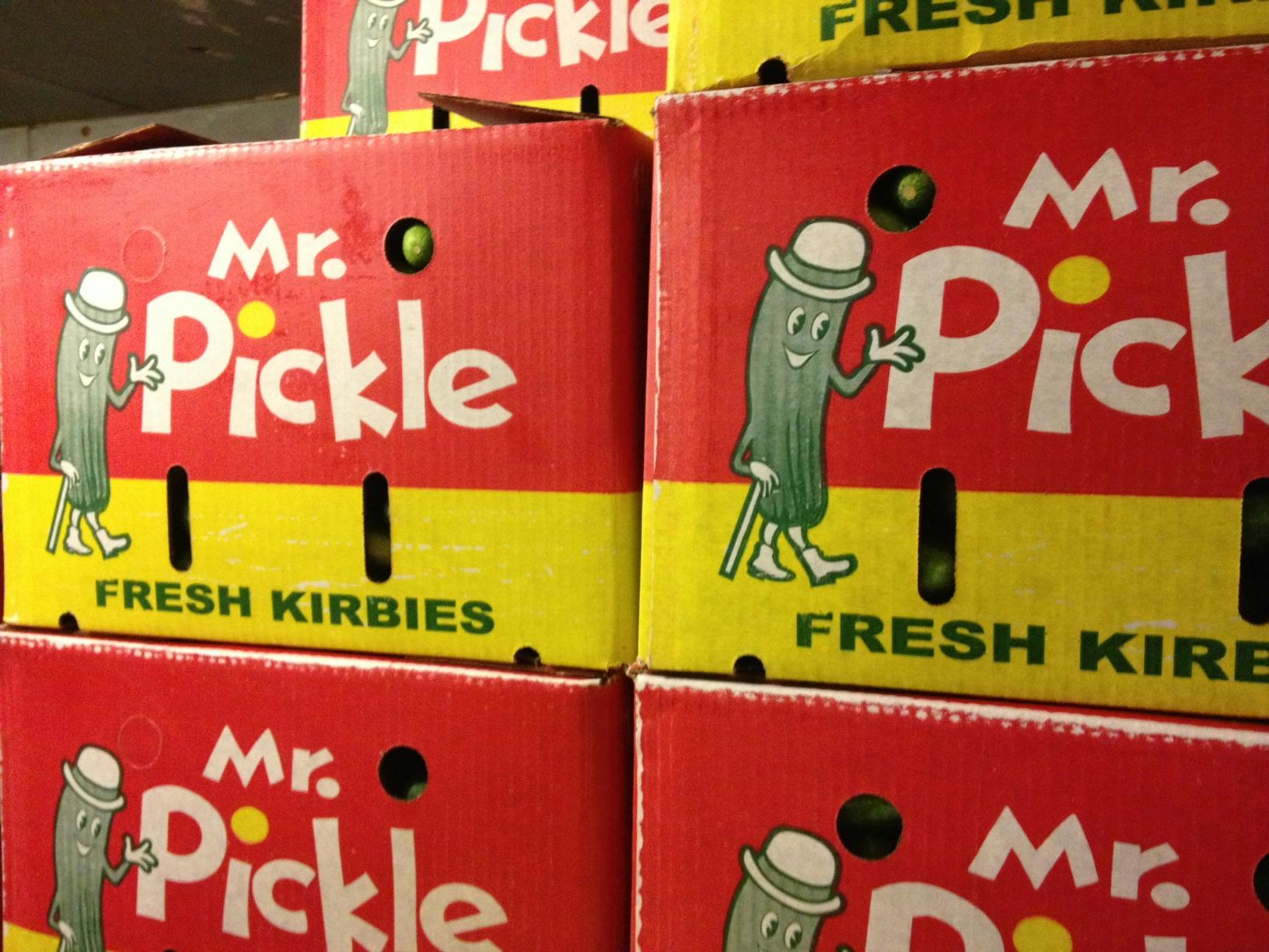 Mr. Pickles (2013 - 2019)