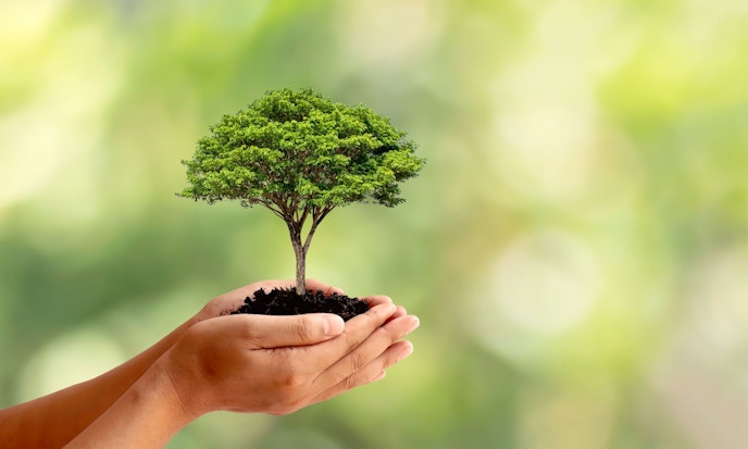 Morgan Stanley Launches Six New ESG-Focused ETFs