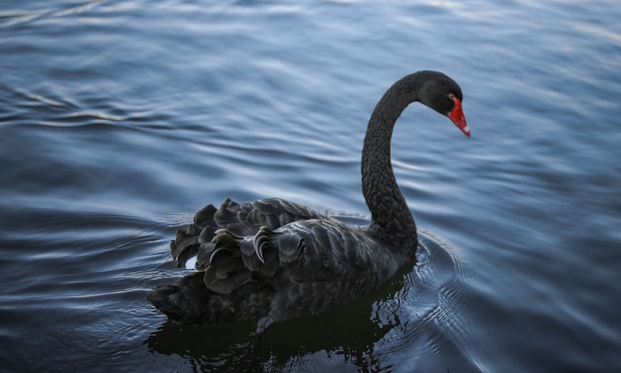 ETFs to protect against a black swan event