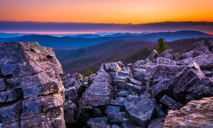 BlackRock's Newest ETFs: Large Cap Value Investing & Flexible Fixed Income