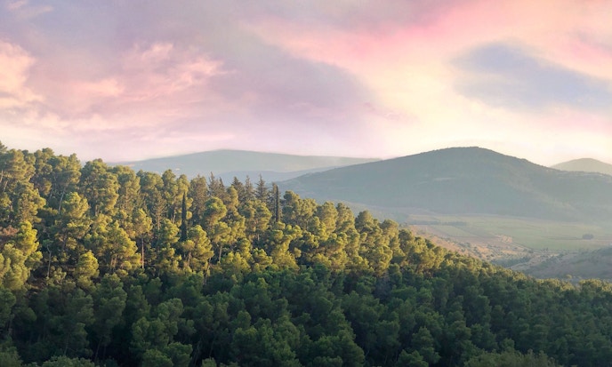 Seek unique sources of excess return with Factor-Based ETFs