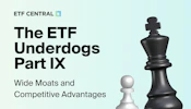 Wide Moats and Competitive Advantage