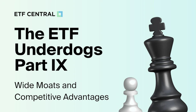 Wide Moats and Competitive Advantage