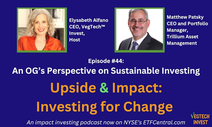 Elysabeth Alfano: An OG's Perspective on Sustainable Investing.