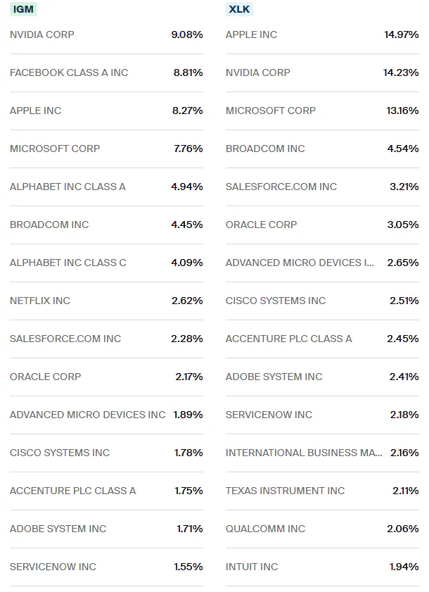 IGM vs XLK Holdings