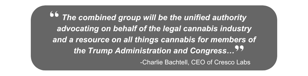 Quote 3 - Charlie Bachteli