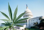 DOJ’s Cannabis Rescheduling Proposal