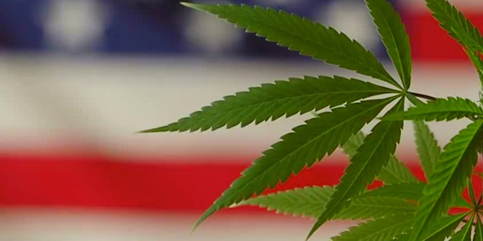 Cannabis and U.S. Politics