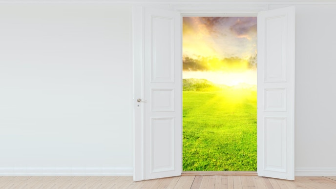 Investing in the Expanding Psychedelics Industry