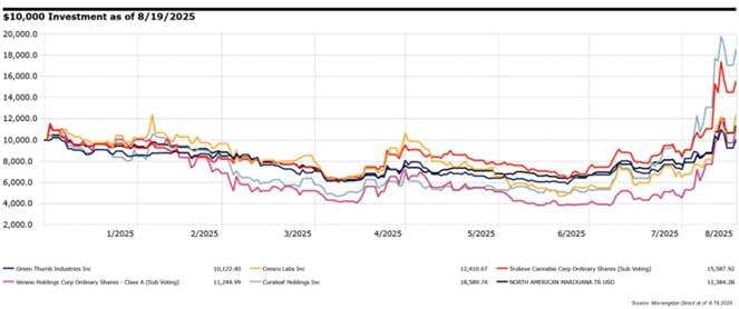 Investment in Cannabis
