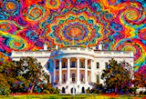 A Historic Executive Order: What Federal Action on Psychedelics Means for the Mental Health Landscape