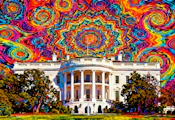 A Historic Executive Order: What Federal Action on Psychedelics Means for the Mental Health Landscape