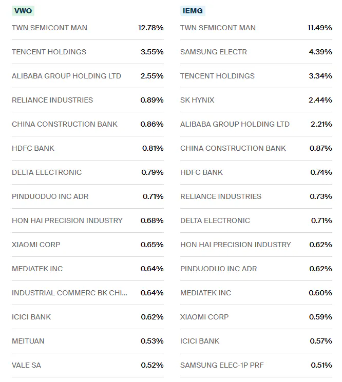 VWO IEMG Holdings