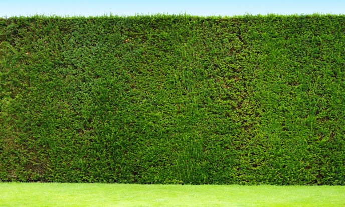 A short primer to Hedge Fund ETFs