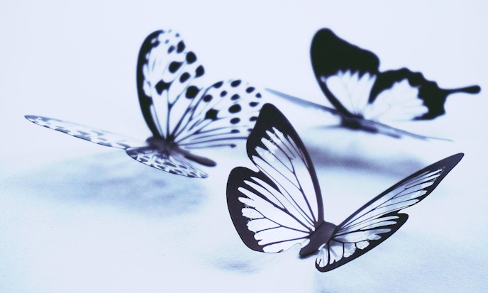 The Golden Butterfly ETF portfolio