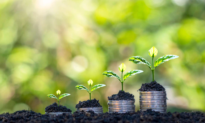 U.S. Large-Cap Growth ETFs to Watch