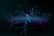 Beyond Big Tech: The Increasing Specialization of AI ETFs