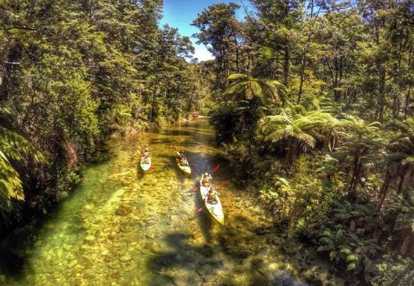Abel tasman kayaking
