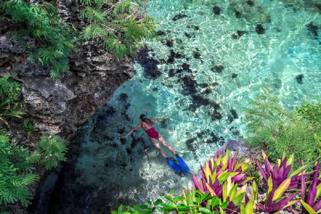 Fiji snorkeling