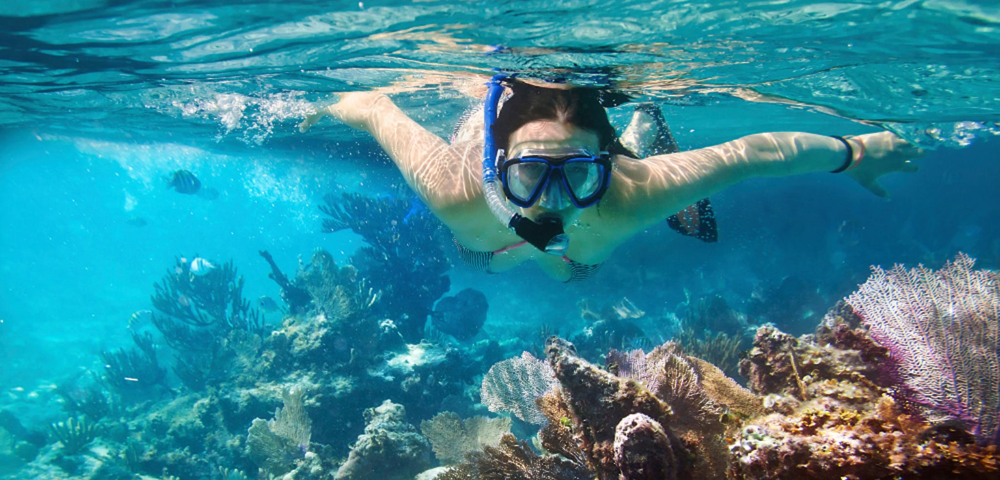 Iririki Island Resort & Spa snorkeling