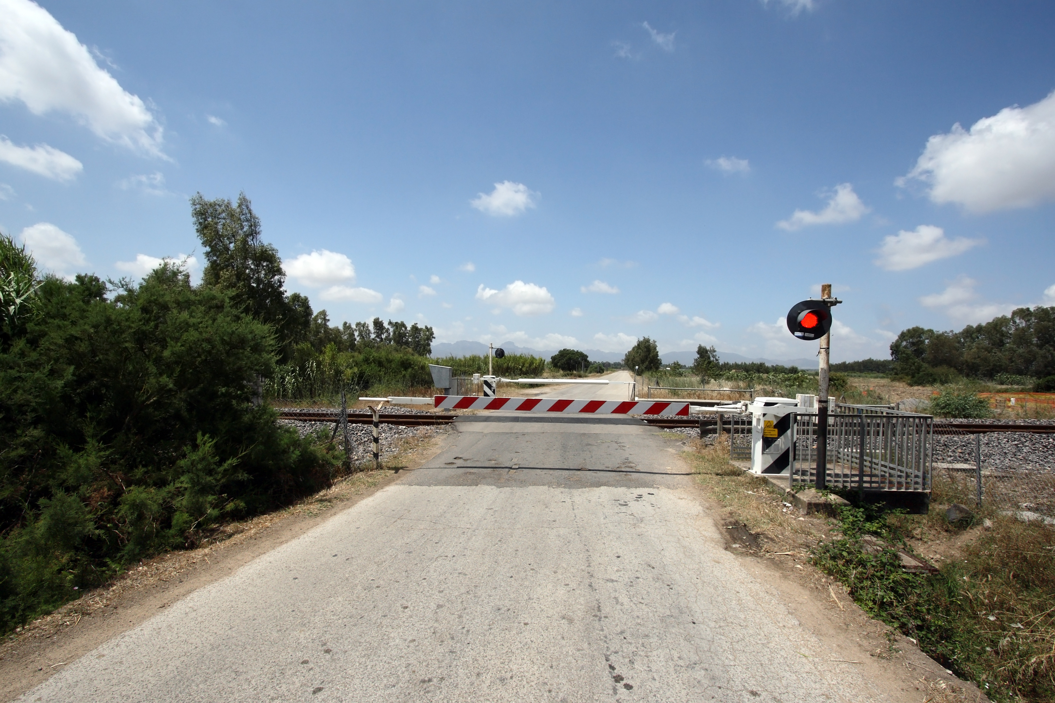 Descubre Todo sobre el Paso a