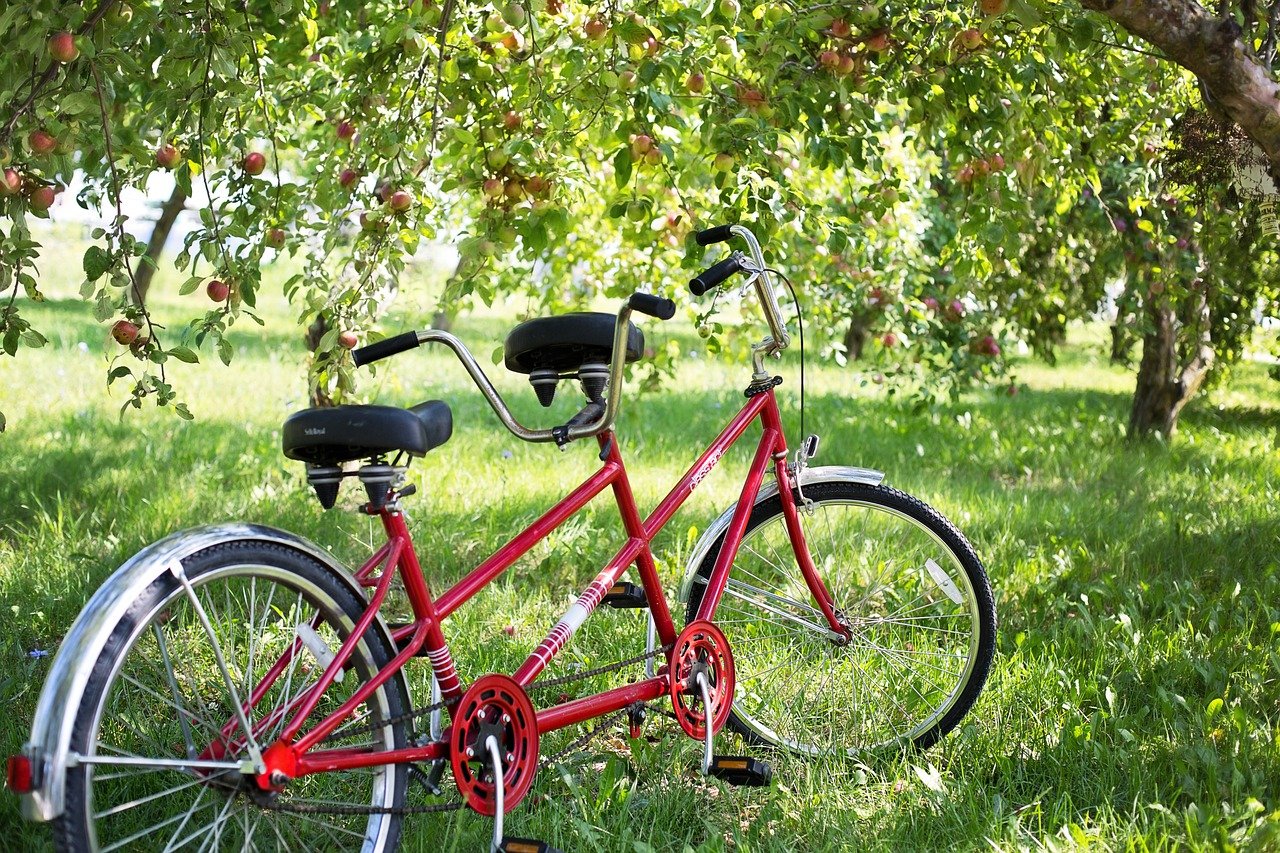 Que es 2024 una bicicleta tandem