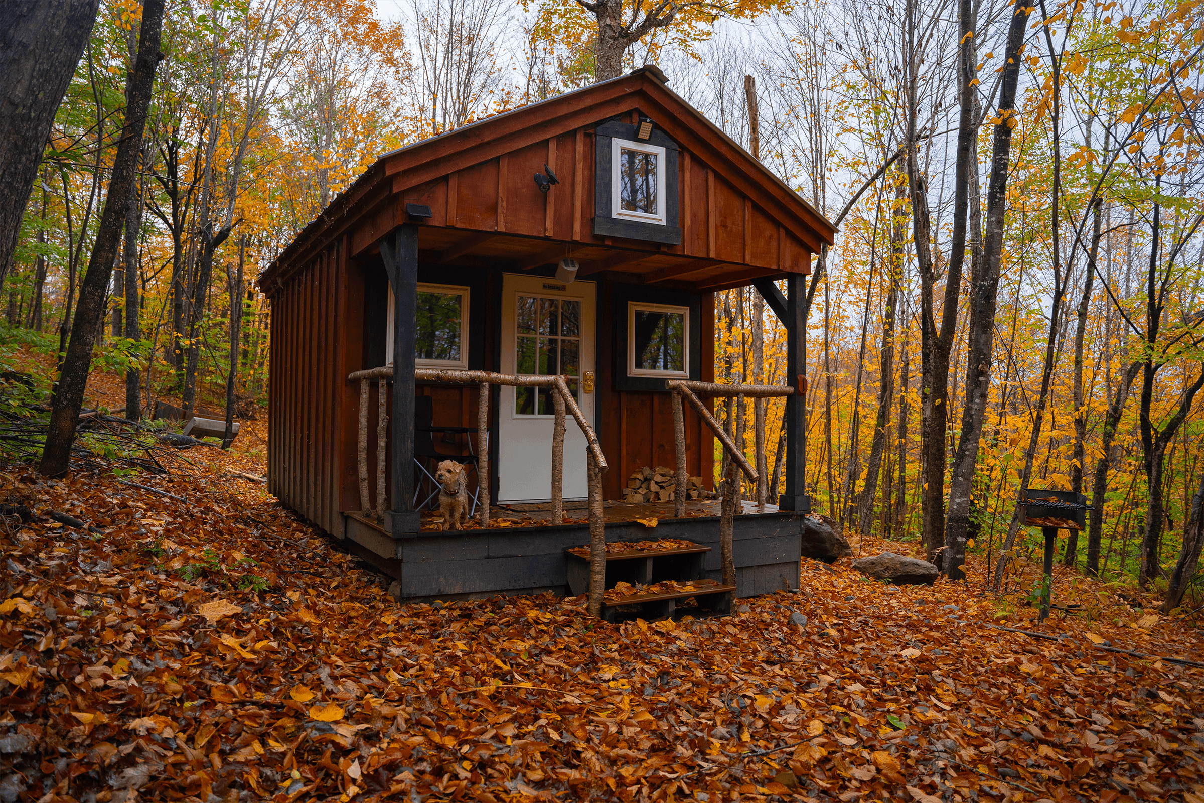 A red cabin in the woods with a small dog on the porch.