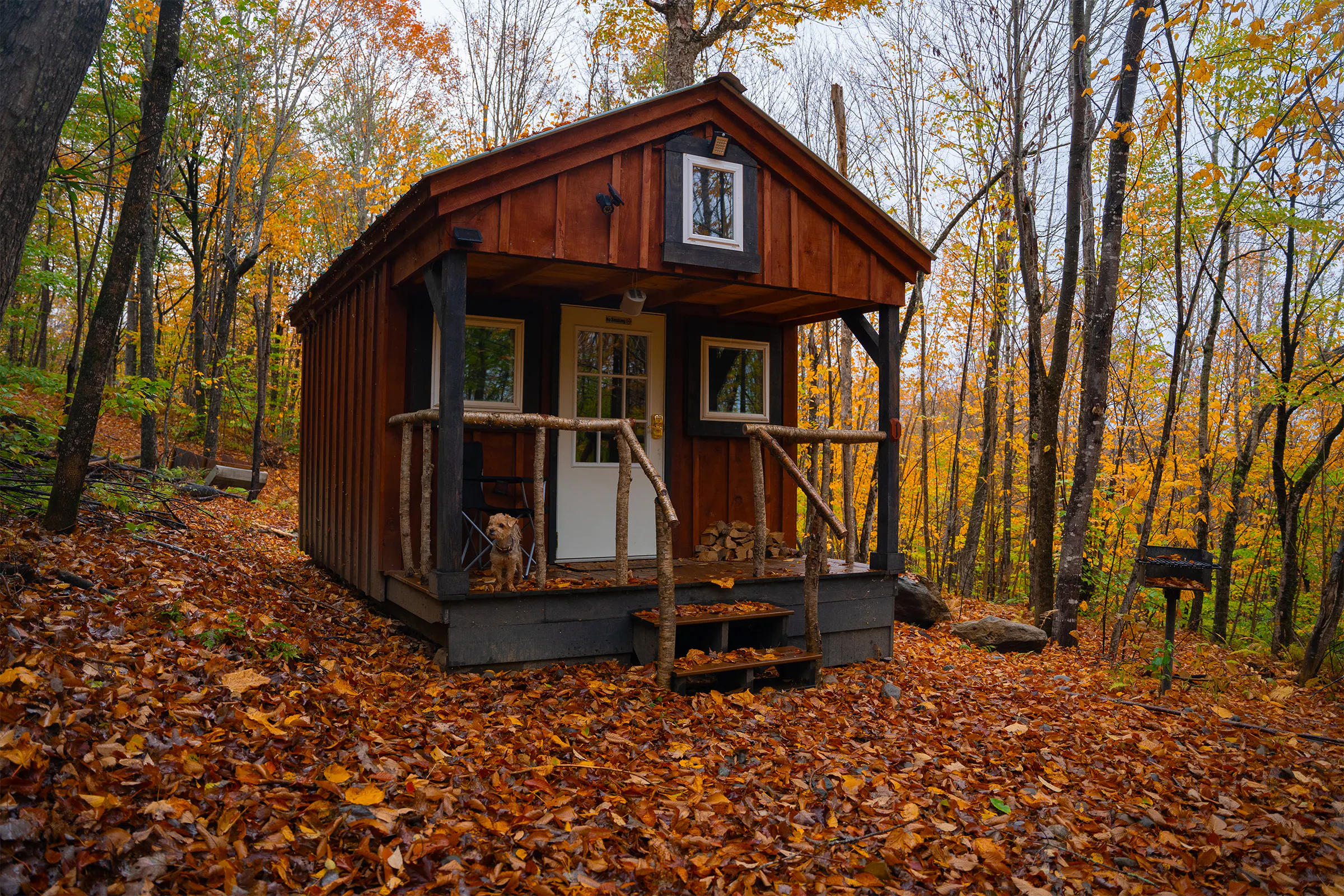 A red cabin in the woods with a small dog on the porch.