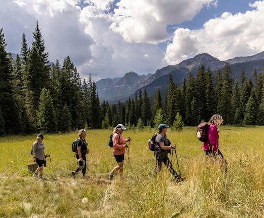 A group of women hike through a mountain meadow in Oboz hiking boots.