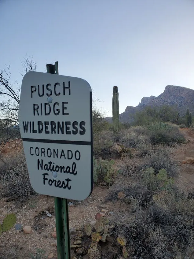 A trail sign in Pusch Ridge Wilderness in the Coronado National Forest.