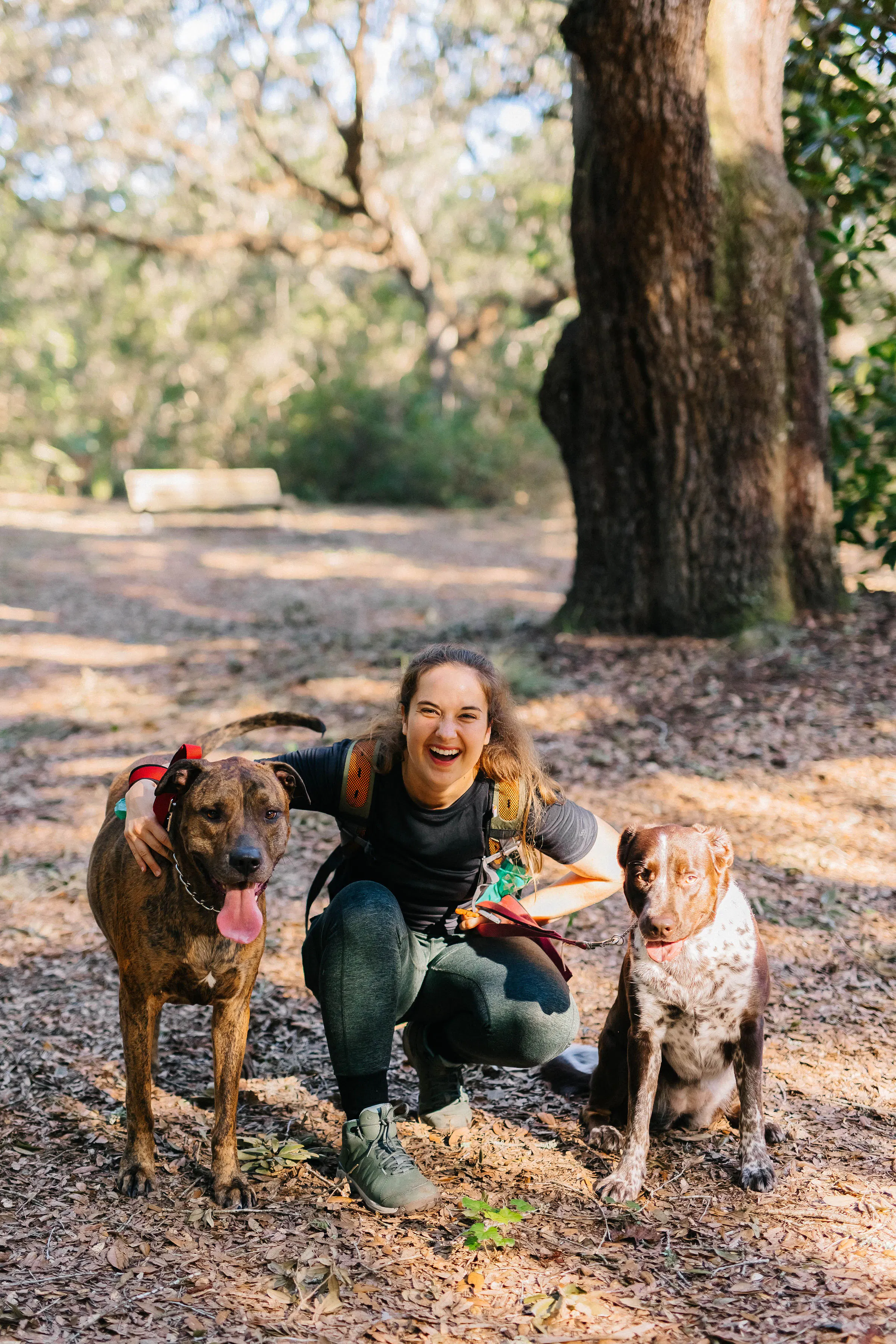 Woman on trail wearing the Oboz Sypes Mid Leather B Dry Hiking boots with two dogs