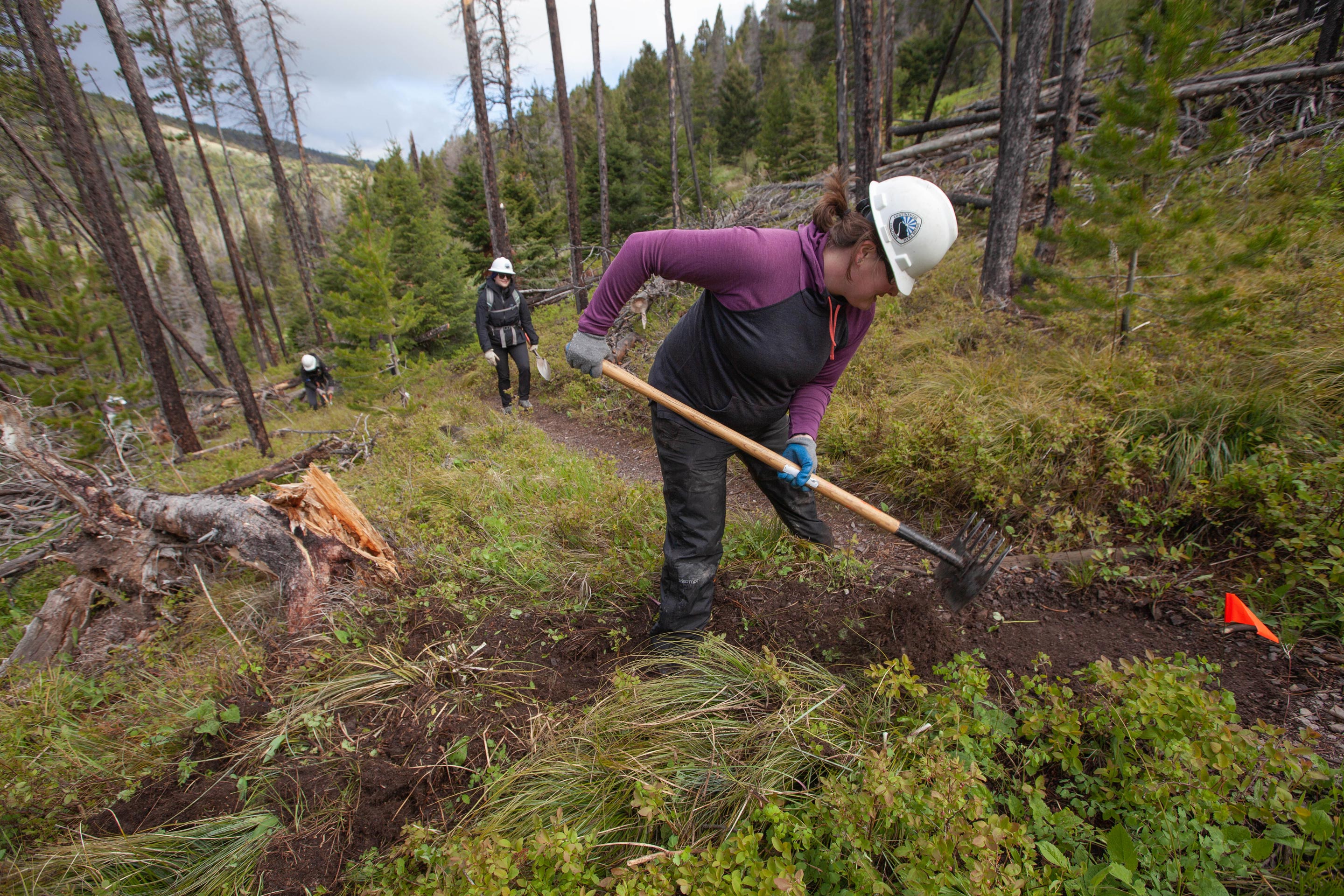 A member of the Oboz team doing trail work with a McLeod on their adopted section of the CDT.